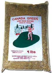 canada green grass seed